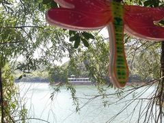 -石燕湖生态旅游景区
