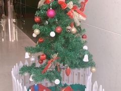 -樱花国际日语(徐家汇中心)