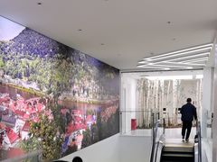 -极简口腔(总院)
