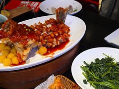 -吴越荣记苏州菜·松鼠桂鱼 100% 活鱼现做(月光码头店)