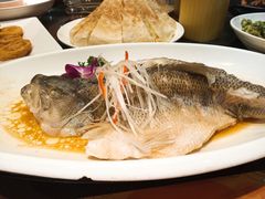 -刘胖子家常菜·蹄花焖藕(中南店)