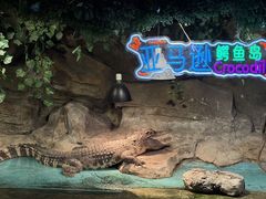 -重庆欢乐海底世界