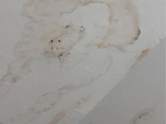 -荔枝楼酒家(员村东璟店)