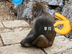 -桂林七星景区