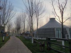 -九十九顶毡房(阜石路店)