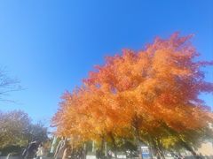 -金环西餐厅