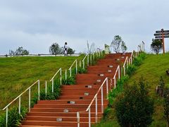 -空港花田景区