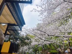 -玛格萝妮比萨屋(四平店)