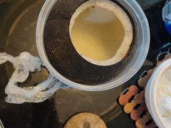 -多喝汤·粤式茶餐(太和金铂店)