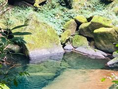 -碧峰峡风景区