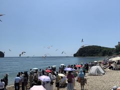 -棒棰岛宾馆景区