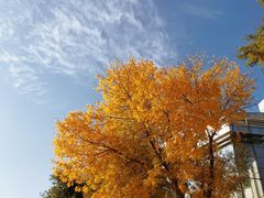 -北京国家会计学院