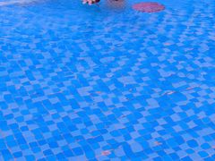 -长春公园(普阳街道)