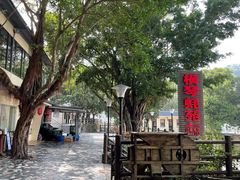 -横琴蚝苑·地道农家菜