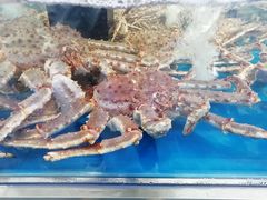 -盒马X会员店(上海森兰商都店)