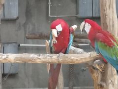 -大连森林动物园