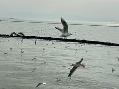 -苏州吴中太湖旅游区