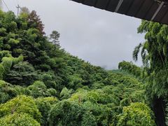 -藏龙百瀑风景区