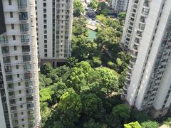 -新湖明珠城