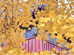 -承恩寺