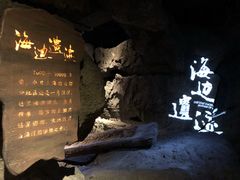 -上海东方佘山翰悦阁酒店·Vie全日制餐厅