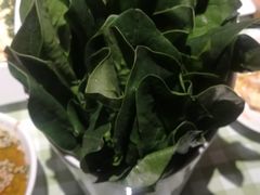-番食园鲜食火锅(高新店)