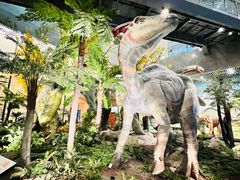 -湖南省地质博物馆