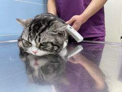 -北京博爱动物医院有限公司