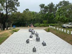 -广东惠东海龟国家级自然保护区