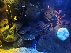 -沈阳海洋探索中心