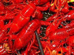 -霸王虾·麻辣小龙虾(清水河公园店)