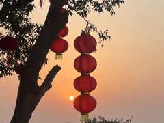 -空港花田景区