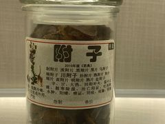 -广东中医药博物馆
