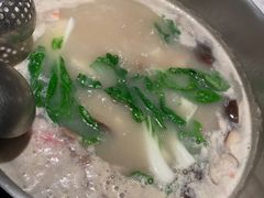 -汤城·料青山