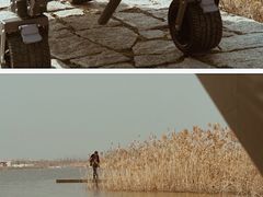 -春花秋色城市公园