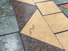 -梧桐面馆桐乡阿能面店(印象城店)