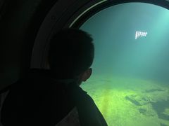 -白鹤梁水下博物馆