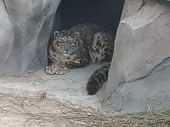 -青藏高原野生动物园