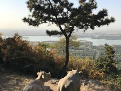 -虞山风景区