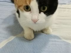 -美迦爱-牙专科·兔科·骨科诊疗中心(北苑店)
