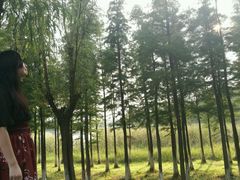 -艾溪湖湿地公园