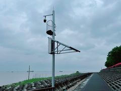 -上海滨江森林公园