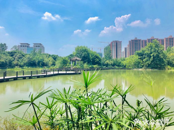 成都中医药大学(温江校区)图片