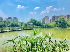-成都中医药大学(温江校区)