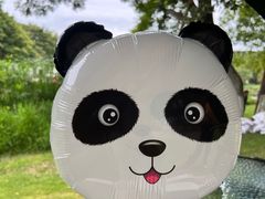 -华为成都研究所-U1