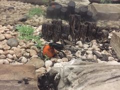 -上海昆虫博物馆