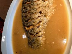 -豫丰汇河南名菜楼(武记餐饮)