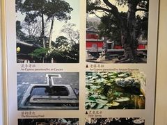 -大觉寺-停车场