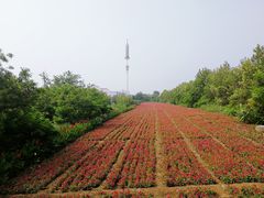 -渔岛海洋度假区