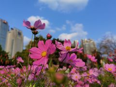 -海心沙亚运公园